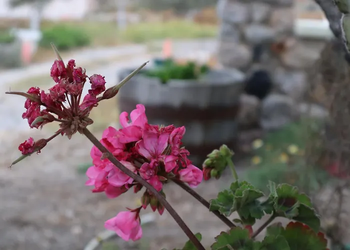 Гостевой дом St.george Периволос