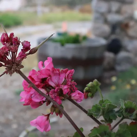 Gasthof St.george & Perivolos (Santorini)